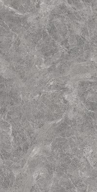 Empro Gris 800X1600MM Glossy Porcelain Tile