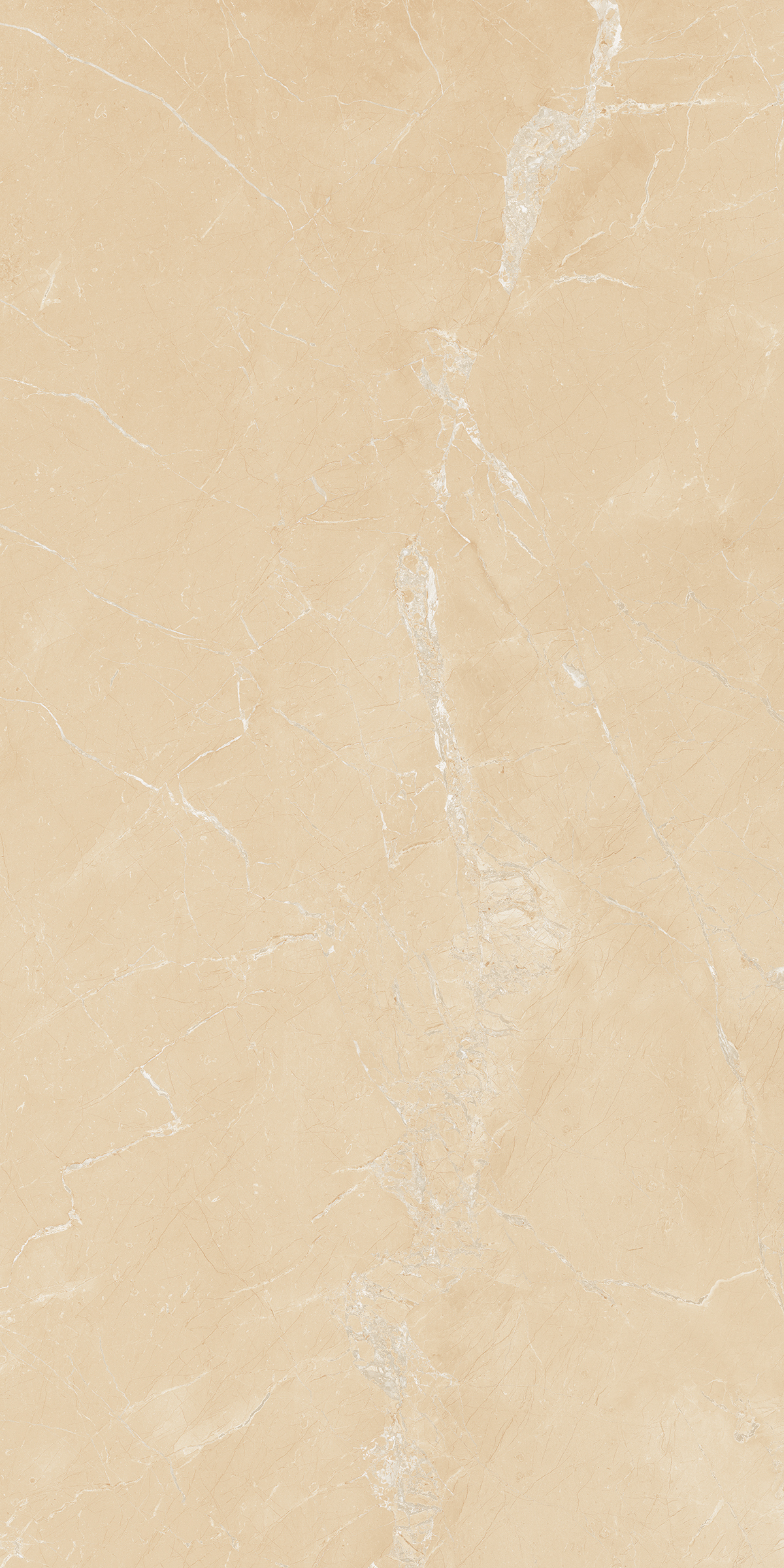 Forest Ivory 800X1600MM Glossy Porcelain Tile