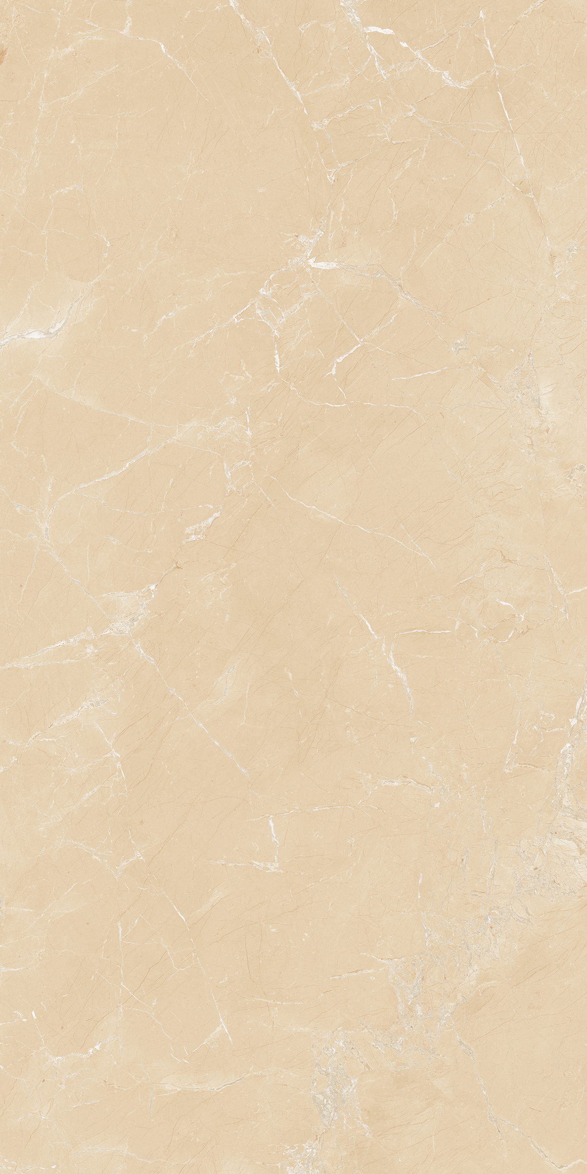 Forest Ivory 800X1600MM Glossy Porcelain Tile