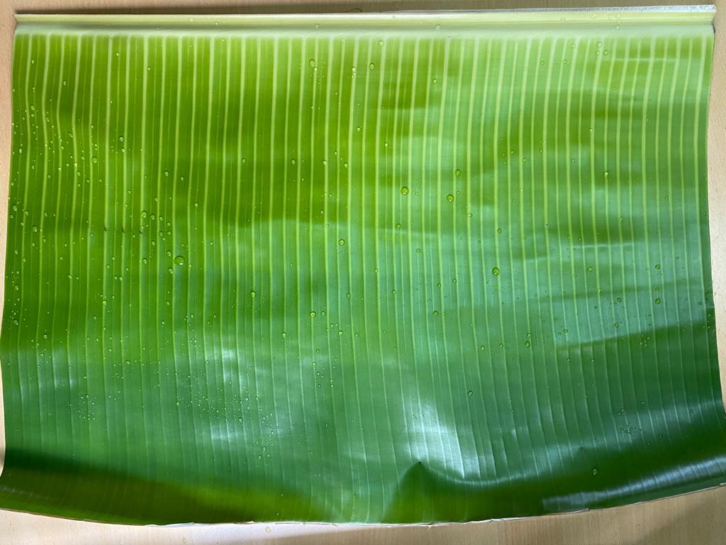 Fresh Banana Leaf for Tiffin, Lunch and Dinner