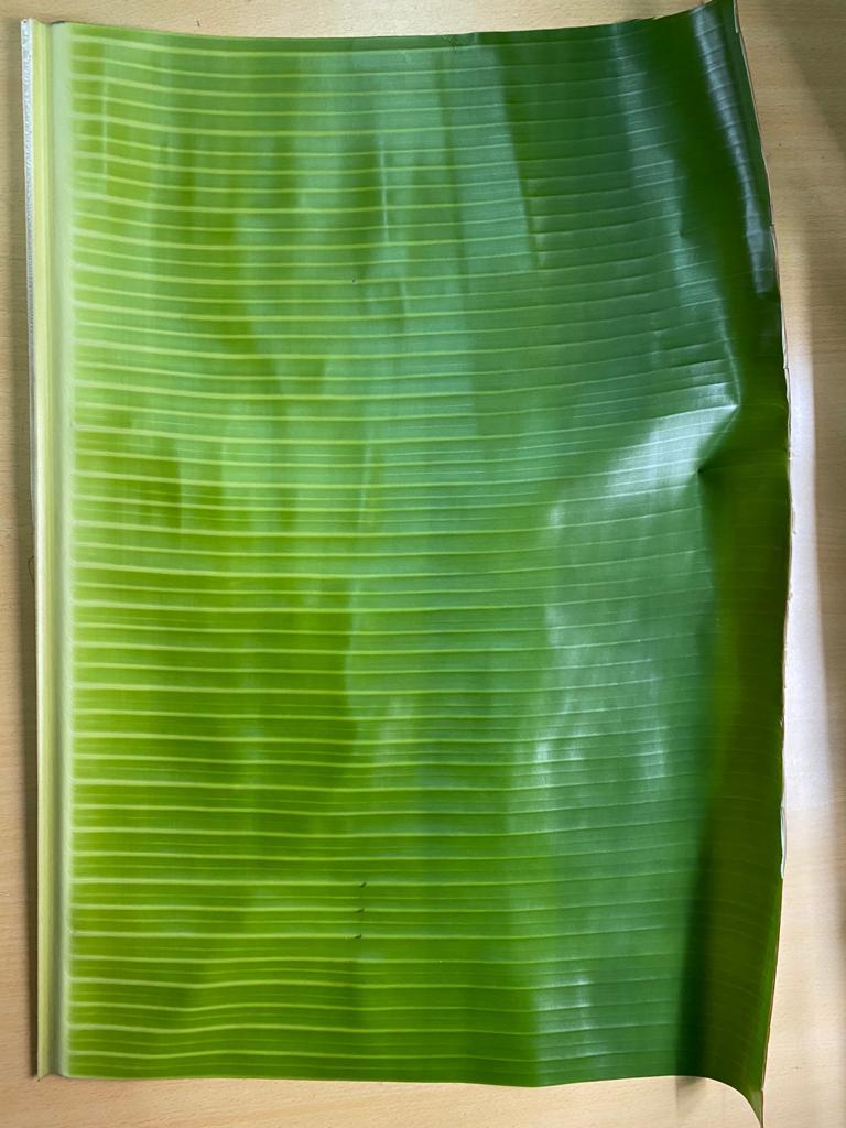 Fresh Banana Leaf for Tiffin, Lunch and Dinner