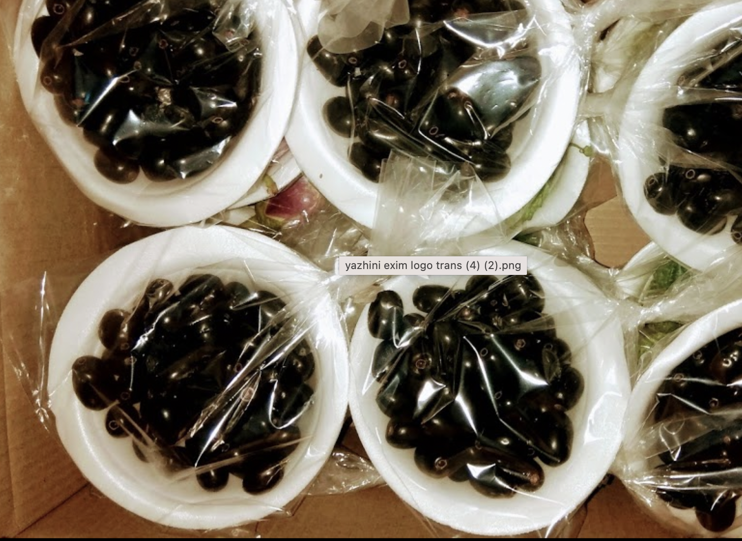 Jamun Fruit