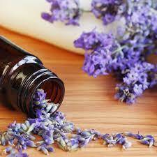Lavender 40/42 Natural Blend Oil