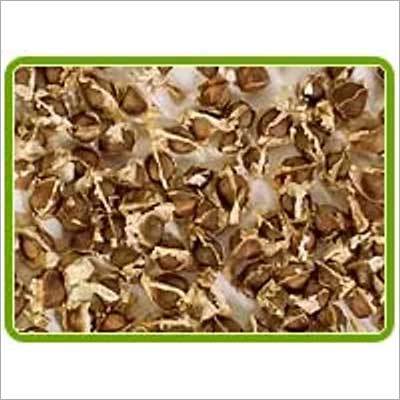 Moringa Seeds and Oil