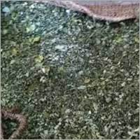 Moringa Drum Stick Dry Leaves