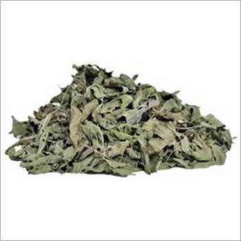 Dry Tulsi Leaves