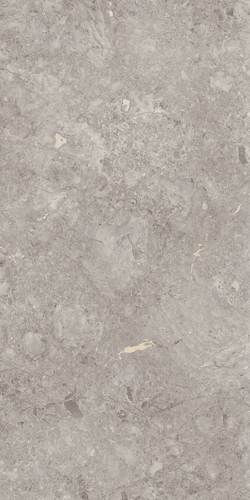 Grey Willium 800X1600MM Glossy Porcelain Tile