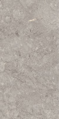 Grey Willium 800X1600MM Glossy Porcelain Tile