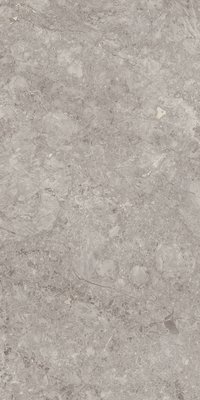 Grey Willium 800X1600MM Glossy Porcelain Tile