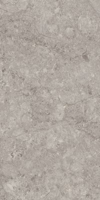 Grey Willium 800X1600MM Glossy Porcelain Tile