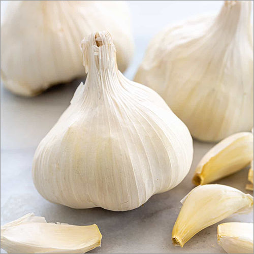 Fresh Garlic