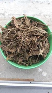 Lobelia Leaves