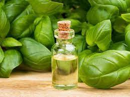 Basil Essential Oil Age Group: All Age Group