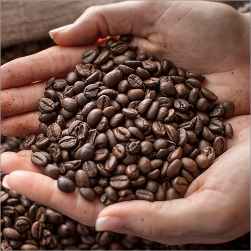 Fresh Coffee Beans By AEC TRADING CO., LTD