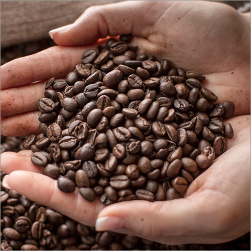 Fresh Coffee Beans