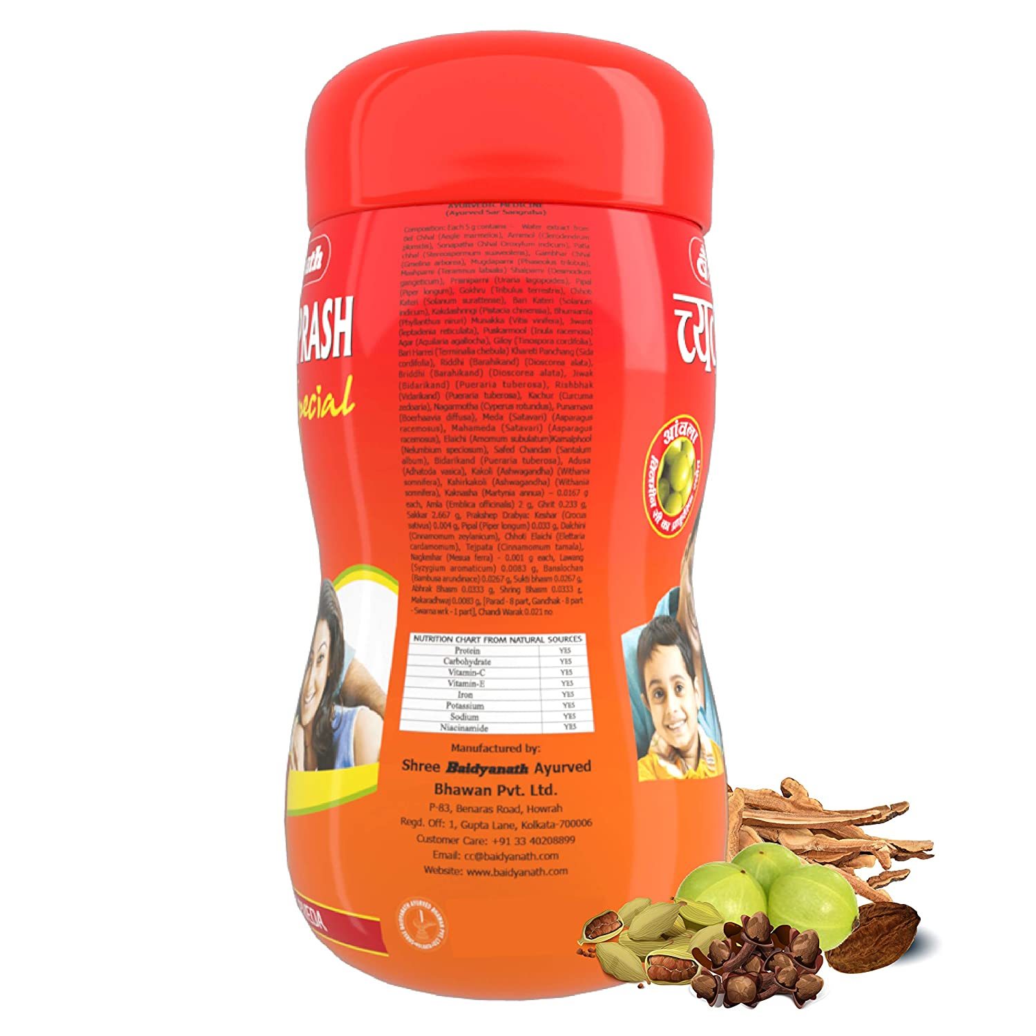 Baidyanath Chyawanprash Special - All Round Immunity and Protection - 500g