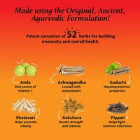 Baidyanath Chyawanprash Special - All Round Immunity and Protection - 500g