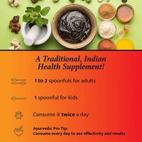 Baidyanath Chyawanprash Special - All Round Immunity and Protection - 500g