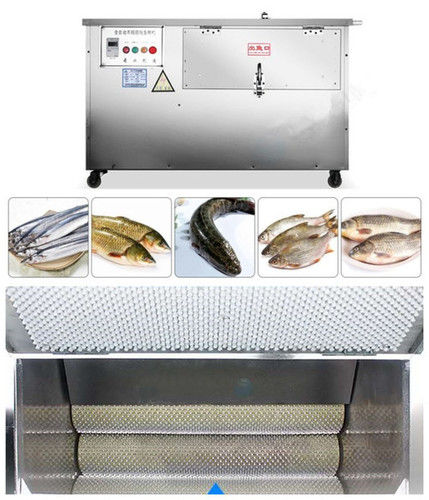 Fish Scaling Machine Capacity: 1200 Kg/Hr