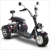 Electric 3 Wheel Tricycle