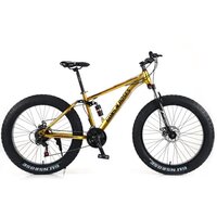Snow Bike--Speedmaster