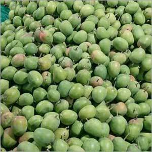 Alphanso Mango Ratnagiri