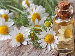 Chamomile Essential Oil Age Group: All Age Group