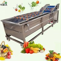 Y-4000 Mung Bean Sprouts Cleaning Machine Capacity: 1000-1500 Kg/hr