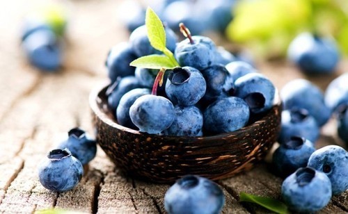 Bilberry Extract