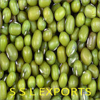 कॉमन ग्रीन ग्राम