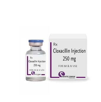Cloxacillin IP Injection