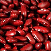 Red Kidney Beans - 2020 Crop Year, Grade A | 100% Purity, Long Shape, Dried With Sunshine, Bulk Packaging, 24 Months Shelf Life