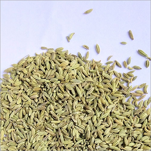 Fennel Whole