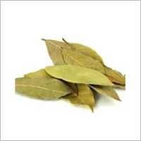 Bay Leaf