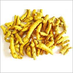 Yellow Turmeric Finger