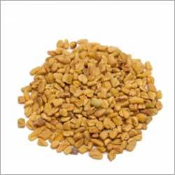 Fenugreek Seed