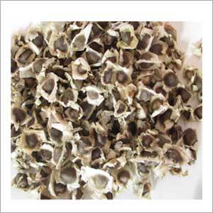 Moringa Seed