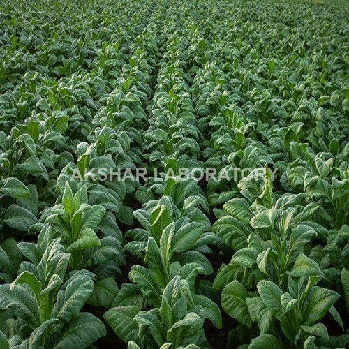 TSNA Testing सेवाएं