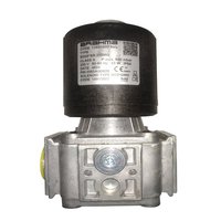 Brahma EG25 Solenoid Valve with Coil