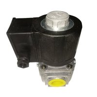 Brahma EG25 Solenoid Valve with Coil