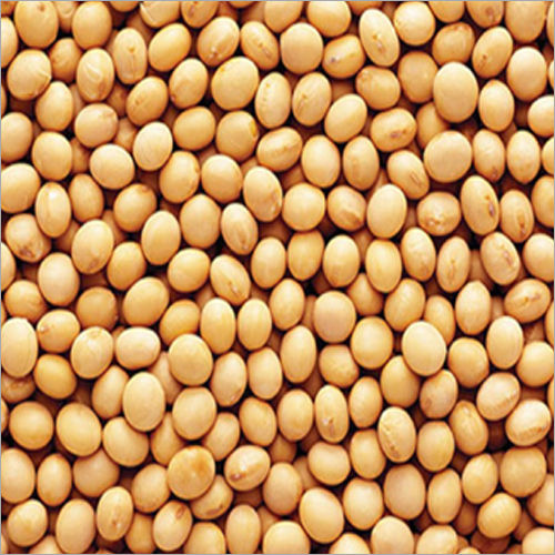 Soyabean Seeds