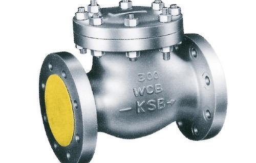 Ksb Cast Iron Swing Check Valves