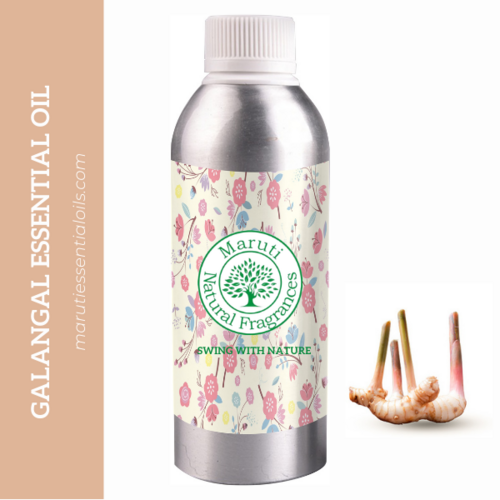 Galangal Essential Oil