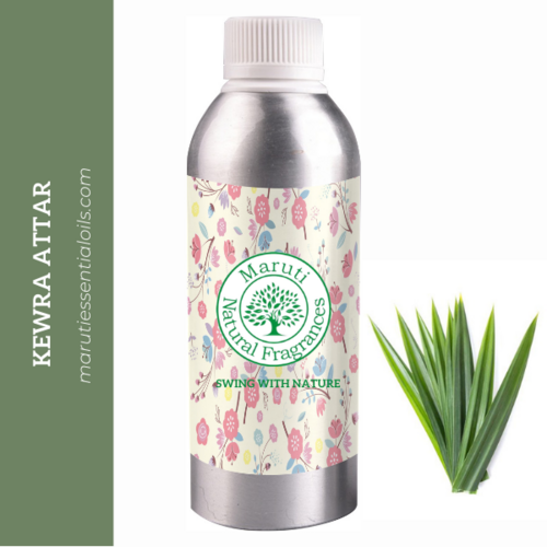 Kewra Essential Oil
