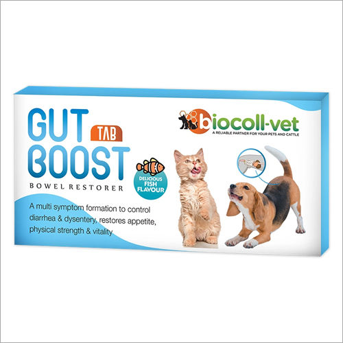 Bowel Restorer Tablet 