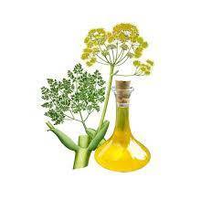 Galbanum Essential Oil Age Group: All Age Group