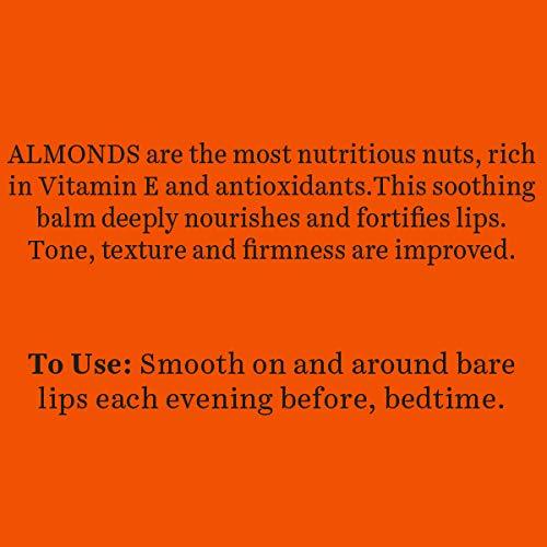 Biotique Bio Almond Lip Balm - 10g