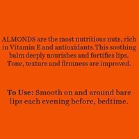 Biotique Bio Almond Lip Balm - 10g