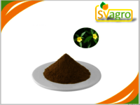 Damiana Extract
