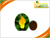 Damiana Extract